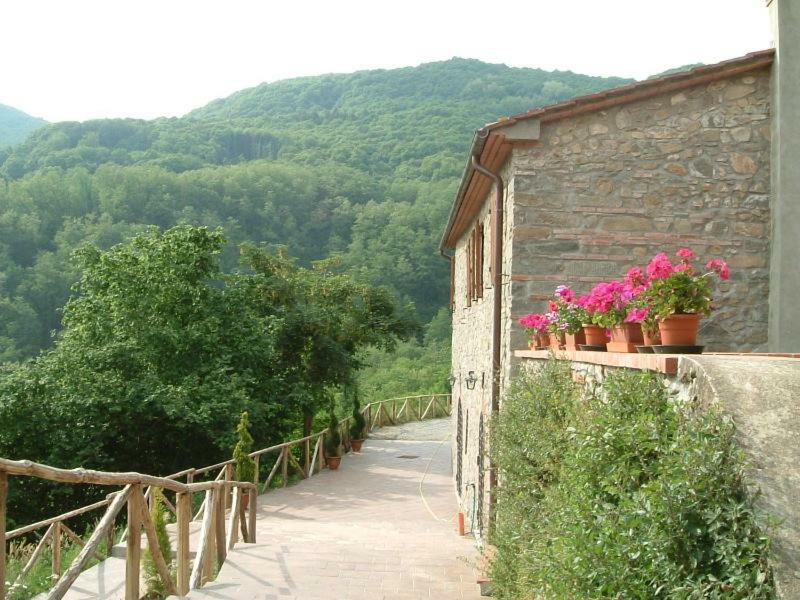 Ferchia Villa Lucca Exterior photo